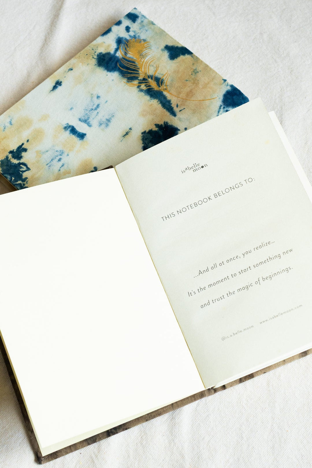 Echoes of Insight Journal