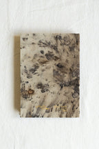 Echoes of Insight Journal