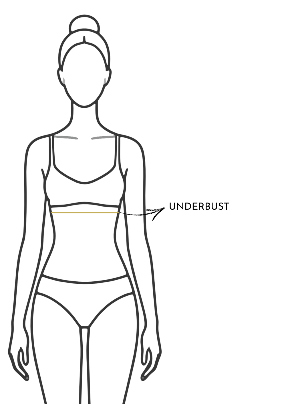 Underbust